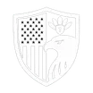 Iron Eagle VPN